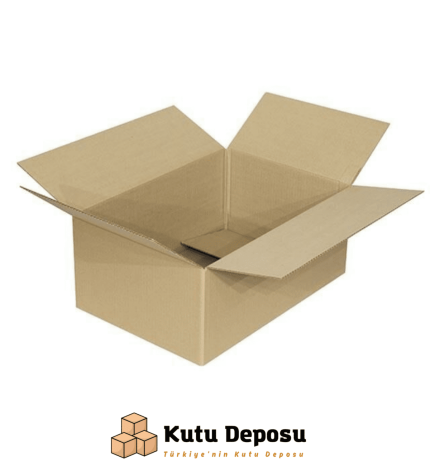 53,5x40x29 cm Kargo Kutusu