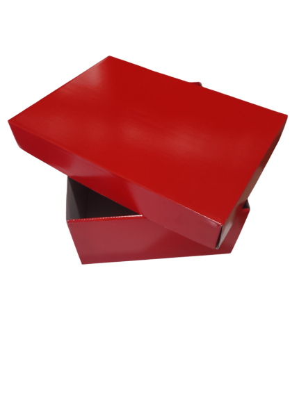 25x35x12 cm E-Ticaret Kapaklı Ofset Kargo Kutusu